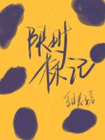 ����С˵:��ʱ���