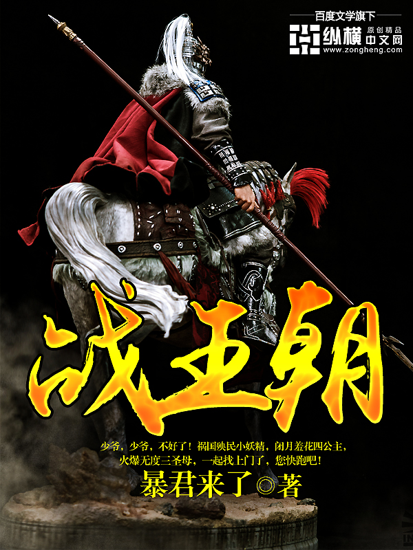 ����С˵:ս����