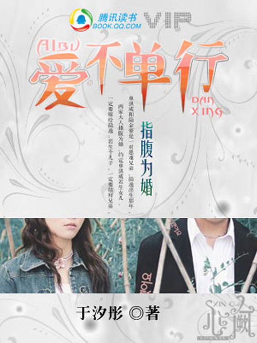 ����С˵:ָ��Ϊ�飺��������