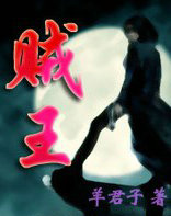 ����С˵:����