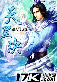 ����С˵:���