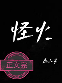 ����С˵:�ֻ�