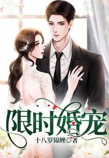 ����С˵:��ʱ���