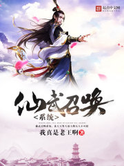 ����С˵:�����ٻ�ϵͳ