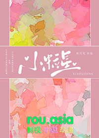 ����С˵:С����