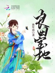 ����С˵:���ﱦ��