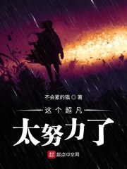 ����С˵:�������̫Ŭ����