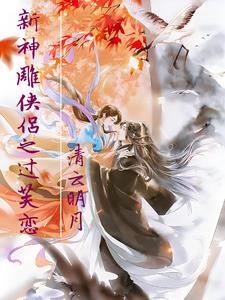 ����С˵:���������֮��ܽ��