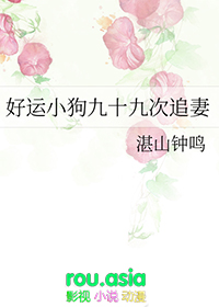 ����С˵:����С����ʮ�Ŵ�׷��