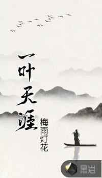 ����С˵:һҶ����