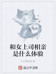 ����С˵:��Ů��˾������ʲô����