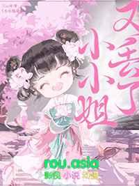 ����С˵:СС���ֶ���