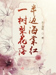 ����С˵:һ���滨���ߺ��ĺ�