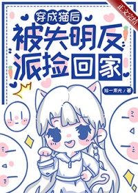 ����С˵:����è�󣬱�ʧ�����ɼ�ؼ�