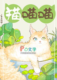 ����С˵:������è������ס��