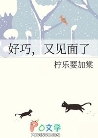 ����С˵:���ɣ��ּ�����