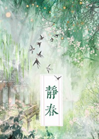 ����С˵:����