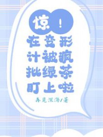 ����С˵:�����ڱ��μƱ������̲趢����