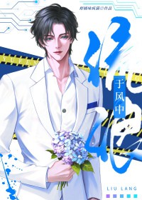 �ֲ�С˵:�ڷ�������