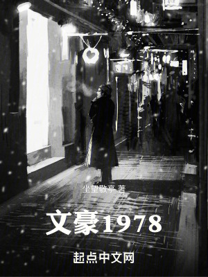 С˵:ĺ1978