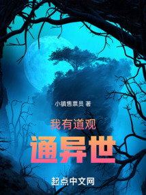 ����С˵:���е���ͨ����