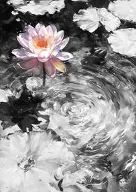 ����С˵:�κɣ�����np��·�ģ�