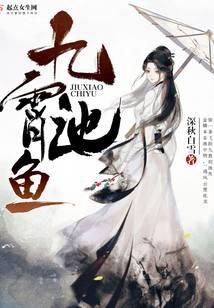 �ƻ�С˵:��������