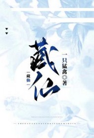 ����С˵:����