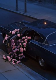 �ٺ�С˵:��ǧ�futa��