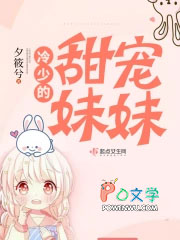 ����С˵:���ٵ��������