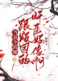 �ֲ�С˵:���