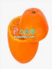 ����С˵:����