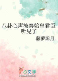 ����С˵:������������ʼ�ʾ���������