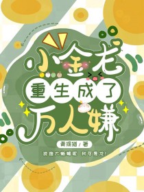 ����С˵:С������������������