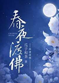 ����С˵:��ҹ�ɷ�