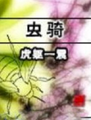 ����С˵:����