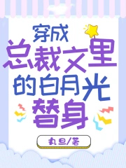 ����С˵:�����ܲ�����İ��¹�����