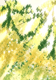 ����С˵:������Ů����������