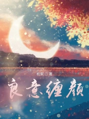 ����С˵:�������