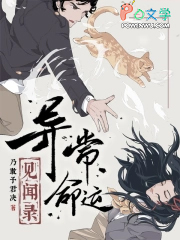 �ƻ�С˵:�쳣���˼���¼