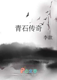 ����С˵:�ຣ�и�