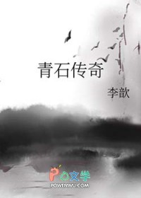 ����С˵:��ʯ����