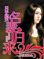 ����С˵:ֻ�����죺���޹���