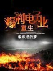 ����С˵:������������ҵ