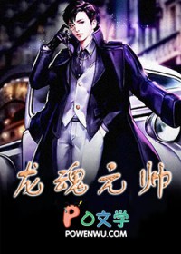 ����С˵:����Ԫ˧