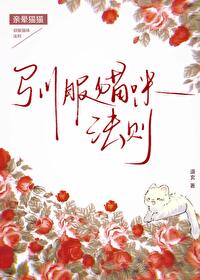 ����С˵:ѱ��è�䷨��