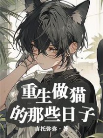 ����С˵:������è����Щ����