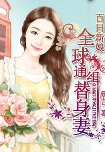 �ƻ�С˵:�������ȫ��ͨ��������