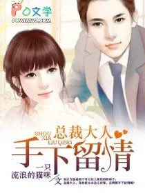 ����С˵:�ܲô�����������