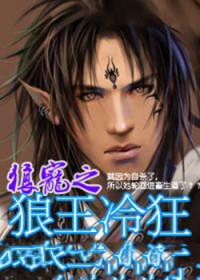 ����С˵:�ǳ�֮�������